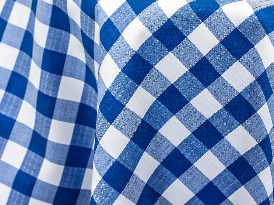 Blue & White Checked